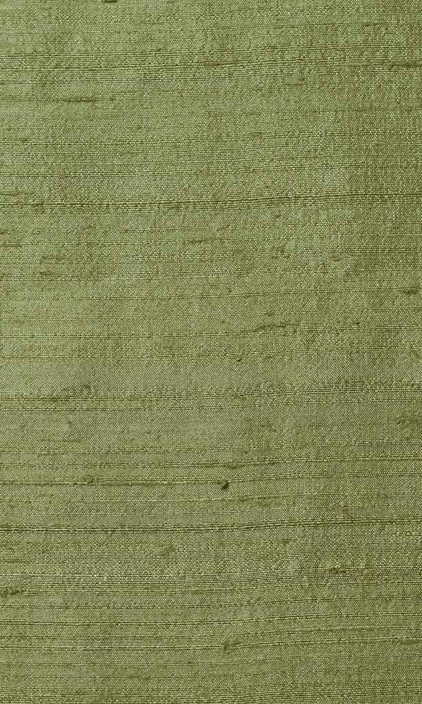Dupioni Silk Pinch Pleat, Rod Pocket, Eyelet Curtains (Moss Green)