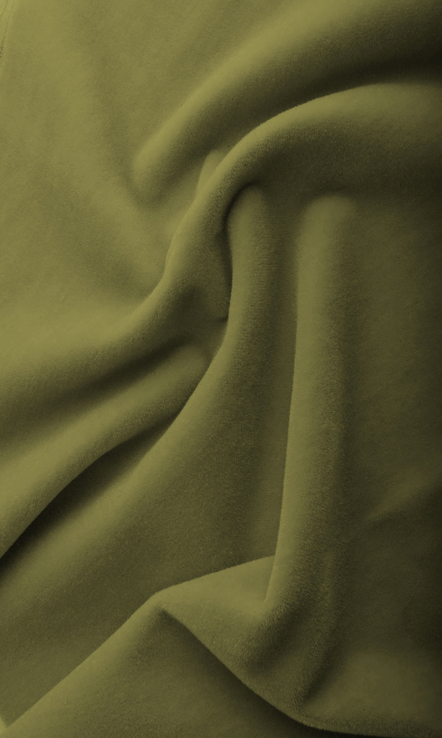 Velvet Pinch Pleat, Rod Pocket, Eyelet Curtains (Green)