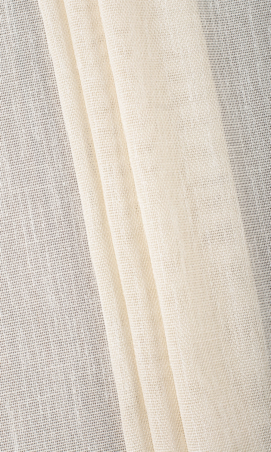Plain Sheer Pinch Pleat, Rod Pocket, Eyelet Curtains (Pale Beige/ Warm Ivory)
