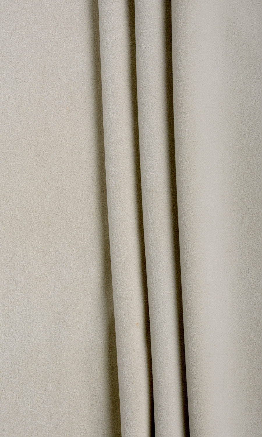 Velvet Pinch Pleat, Rod Pocket, Eyelet Curtains (Pale Grey)