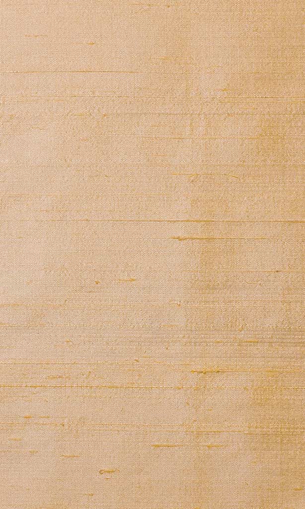 Dupioni Silk Pinch Pleat, Rod Pocket, Eyelet Curtains (Golden Beige)