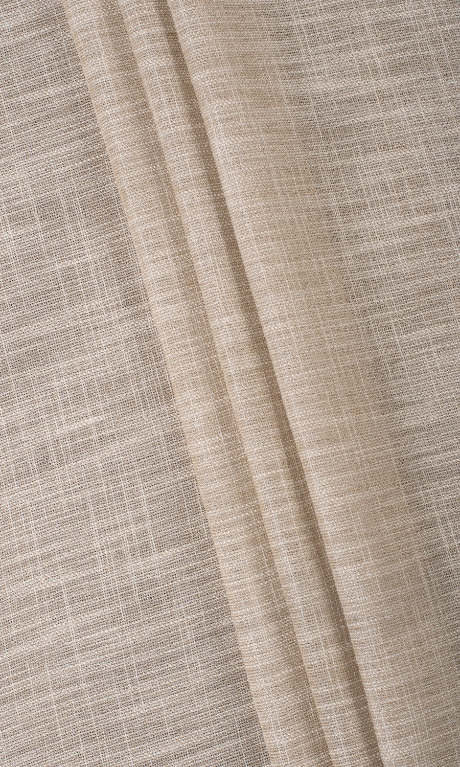 Textured Sheer Pinch Pleat, Rod Pocket, Eyelet Curtains (Biscotti Beige)